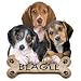 Beagle Puppies Adult Sweatshirt