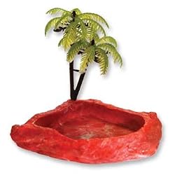 HERMIT CRAB DISH W/PALM RED