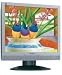 Viewsonic VE920M 19 Zoll TFT Monitor schwarz/silber