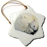 Wild animals - Polar Bear and Cub - Ornaments