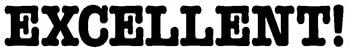 Rubber Stamp Excellent by HARDING HOUSE PUBLISHERS