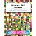 Homeless Bird Teachers Unit Literature Guide Book