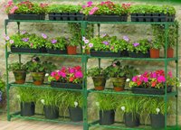 Staging (double value pack)