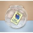 Imagine Drum Glass Betta Fish Bowl with Complete How-To Guide (1 Quart)