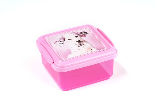 Rachael Hale Daysha Small Klip It Lunch Box