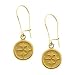 14K Yellow Pittsburgh Steelers NFL Logo Dangle Earrings