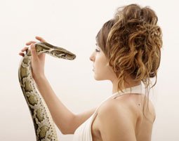 Produkt-Bild: mydays Geschenkgutschein - Animalisches Fotoshooting in Hamburg - Raum Hamburg
