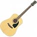 Epiphone DR-100 Acoustic Guitar, Black
