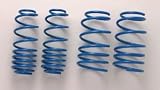 BLITZ�ʥ֥�åġ� SUPER FLEX SUSPENSION ...