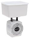 Salter 16-Ounce Food Scale with Storage Container and Lid, White