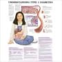 Understanding Type 1 Diabetes Anatomical Chart 20" X 26" Laminated