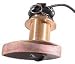 Sporting Goods : Lowrance Eagle THST WBBK Thru-Hull Bronze Transducer Style Speed And Temp.