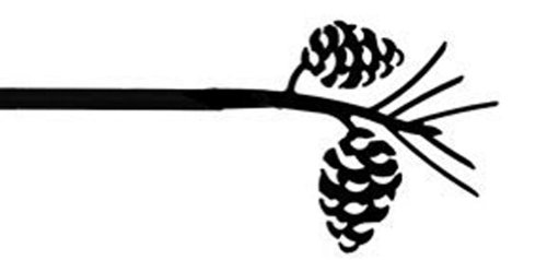 Sale Wrought Iron Pine Cone Curtain Rod Extends 113 To 130 Huge