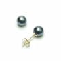 14k Yellow Gold 5x5.5mm AA Black Freshwater Cultured Pearl Stud Earrings
