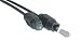 Lindy - Digital audio cable (optical) - SPDIF - TOSLINK (M) - TOSLINK (M) - 6.6 ft - fiber optic