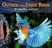 Outside and Inside Birds