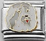 Clearly Charming Sheepdog Canine Dog Breed Animal Pet Italian Charm
