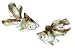 Ceramic gold fish - light green