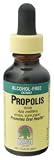 Nature's Answer - Propolis Resin, 1 oz