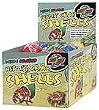 Hermit Crab Neon Shells 36pc Counter Display