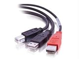  : Cables to Go 'Y' Cable - USB cable - 4 pin USB Type B (M) - 4 pin USB Type A, 4 pin USB Type A (power only) (M) - 6 ft ( USB / Hi-Speed USB )