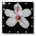 Bunga Raya - bunga raya, flower, flowers, hibiscus, hibiscus rosa sinensis, plant, plants - 10x10 Wall Clock