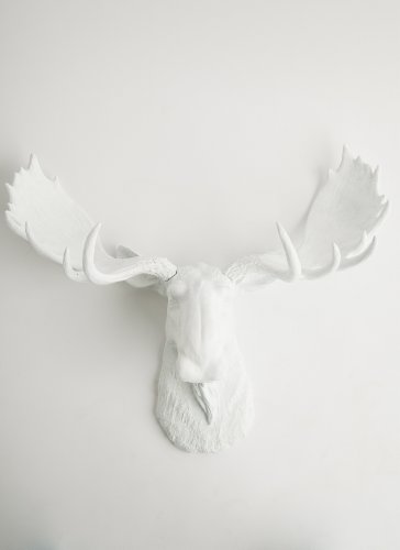 The Edmonton | White Moose Head | Moose Antlers in White | Moose Resin Decorations | Faux Taxidermy | Animal Mounts | Trophy Taxidermy