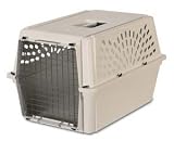 CLASSIC KENNEL INTERMEDIATE