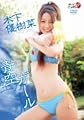 �؉��D���� ��K�[�� [DVD]