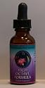 BOUNDARIES/DISCERNMENT FLOWER ESSENCE FORMULA