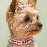 Aria Double Strand Pearl Necklaces with Rhinestones Pink