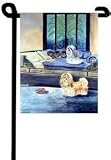 image link - - B002GVM6XU