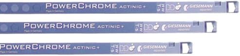 Giesemann Powerchrome Actinic+ - T5 High Output Lamp - 48 Inch - Package of 4