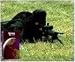 Search : Sniper School