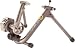 CycleOps Fluid 2 Indoor Bicycle Trainer