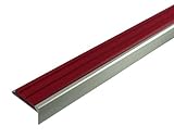 日中製作所 BIM ステンレス ノンスリップ タイヤ付  レッド ビス穴あり 2m D110-2H-1