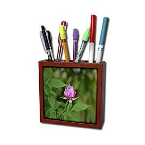 WhiteOak Photography Floral Prints - Delicate Pink Rose Bud Pink Rose Bud - Tile Pen Holders-5 inch tile pen holder