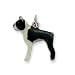 Sterling Silver Enameled Boston Terrier Charm title=