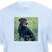 Chocolate Labrador Retriever - Toddler Light-Blue-T-Shirt (3T)