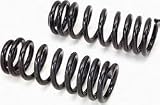 Trailmaster Suspension FL221 2.5 Front Coil Spring Leveling Kit