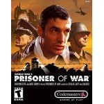 Prisoner of War: Video Games