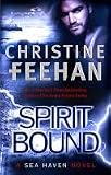 picture of Spirit Bound: Sisters of the Heart Series: Book 2
