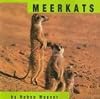 Meerkats (Animals (Mankato, Minn.).)