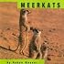 Meerkats (Animals)