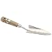 Draper 44985 Stainless Steel Transplanting Trowel with FSC-Certified Ash Handle