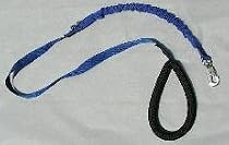 Shock Absorbing Z-Leash (medium, PURPLE)