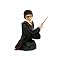 Harry Potter Collectables