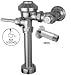 Flush Valve 1.6 Gal Closet Image