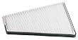 Motorcraft FP-65 Pollen Filter