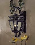 Capolona Collection 25 1/2 High Outdoor Wall Light